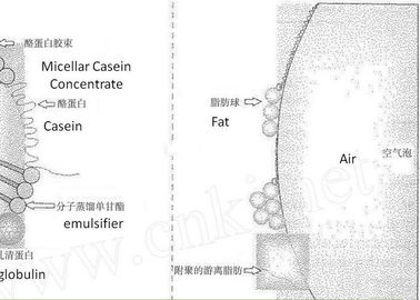 Bentuk bubuk Emulsifier E475 / Finamul PGE 2070 Polyglycerol Esters Of Fatty Acids 20kg Karton Kerajinan